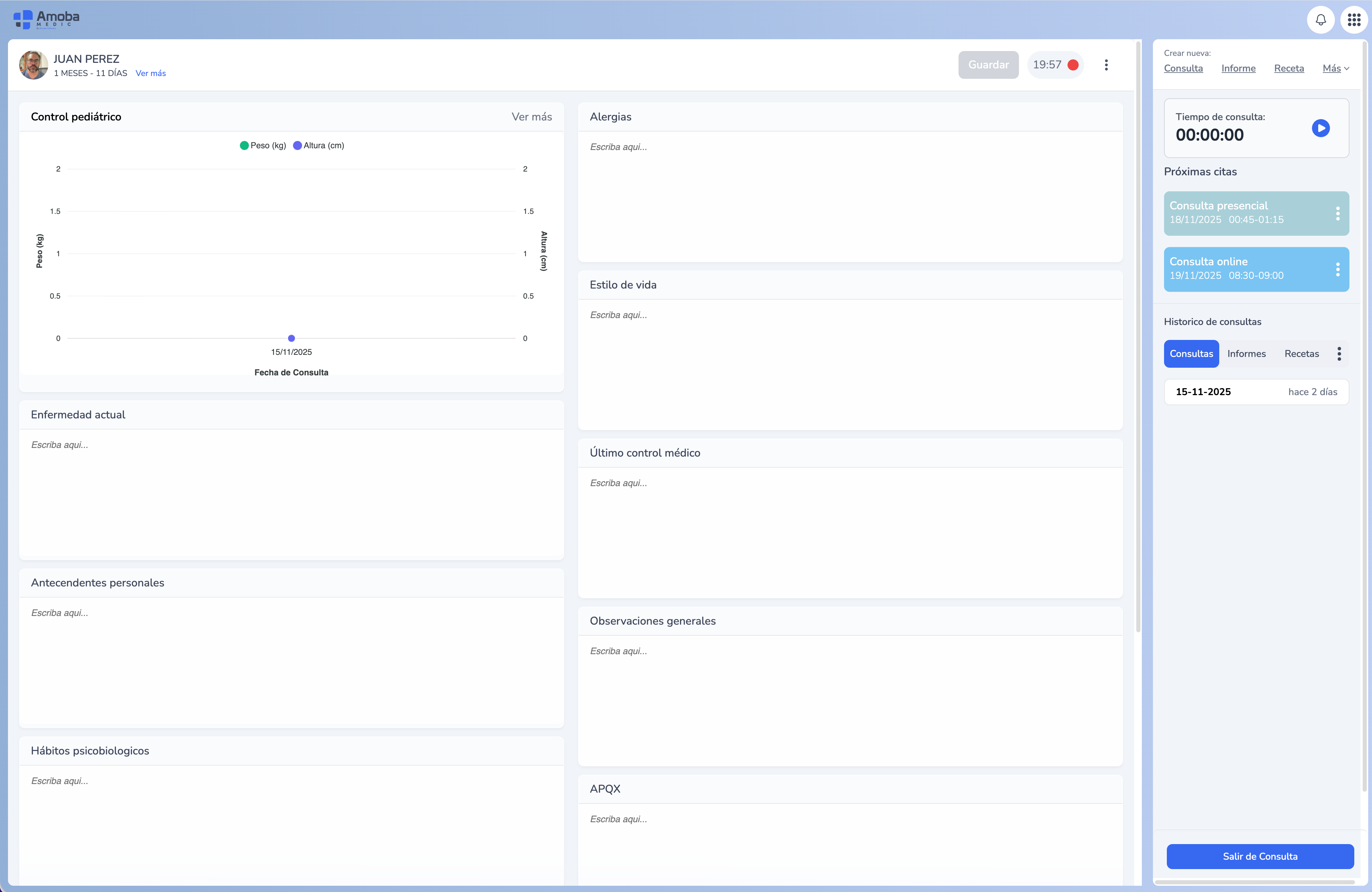 Paso 1: Grabar la consulta con AmobaMedic